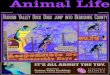 Animal Life E-Edition September