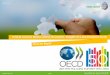Innovation day 2012   13. olivia de ruyck - verhaert - 'critical succes factor of eco-innovation insights of a pan-european study