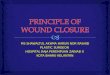 Principle of Wound Closure