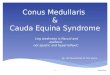 Ortho_conus Medullaris and Cauda Equina Syndrome