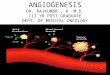 Angiogenesis Presentation