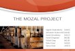 The Mozal Project