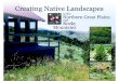 Creating Native Landscapes in the Northern Great Plains and the Rocky Mountains