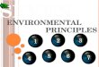 7 Environmental Principles