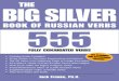 555 Russian Verbs