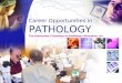 Pathology as a Career