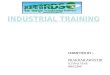 Industrial Training on Rdso (1)