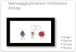 Hemagglutination Inhibition assay