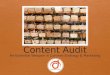 Content audit new dawn media