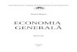 manual economie generala
