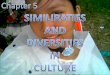 Similarities and diversities of culture
