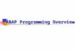 Introduction to ABAP