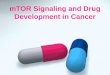 mTOR inhibitor in cancer