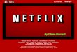 Netflix, Hybrid Case Study - Netflix and Robert W. Lucas' Skills for Success