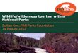 Wilderness & Wildlife Tourism