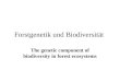 The genetic component of biodiversity in forest ecosystems