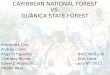 Caribbean National Forest VS Guanica State Forest