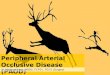 Peripheral arterial occlusive disease