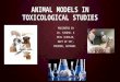 Animal models in toxicological studies
