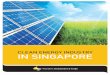 Clean Energy Industry in Singapore