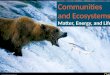 Communities and ecosystems