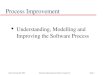 Process Improvement in Software Engineering SE25