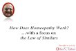 How does homeopathy work