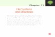 Cs illuminated ch.11: File Systems & Directories