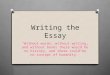 Writing the Essay (Gaetz)