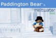 Paddington Bear and Meltwater Buzz