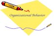 Fundamentals of Organization Behavior.ppt
