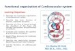 Functional Organization of Cardiovascular System