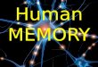 Human Memory (Psychology)