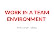 Work in a team environment