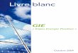 Livre Blanc du GIE "Enjeu Energie Positive"
