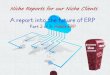 A report into the future of erp part 2 of 3 mb