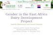Gender in the East Africa Dairy Development Project