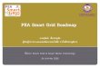 (1) PEA Smart Grid Roadmap