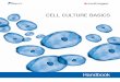 Cell Culture Basics_EU
