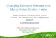 Maize demand and value chains inAsia.pdf