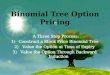 Binomial Tree Option Pricing Final