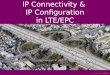 IP Connectivity  in LTE