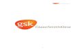 Long-term Corporate Finance Project on GlaxoSmithKline Inc