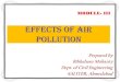 Effects of air pollution m3