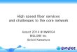 High Speed Fiber Services and Challenges to the Core Network by Seiichi Kawamura