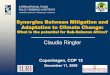 Synergies Between Mitigation and Adaptation to Climate Change:What is the potential for Sub-Saharan Africa?