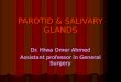Parotid Tumors and Other Salivary Gland Tumors