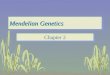 Mendelian Genetics Chapter 2 Phenotype and Genotype
