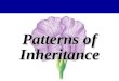 Patterns Of Inheritance Modified