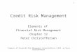 Credit risk management (2)